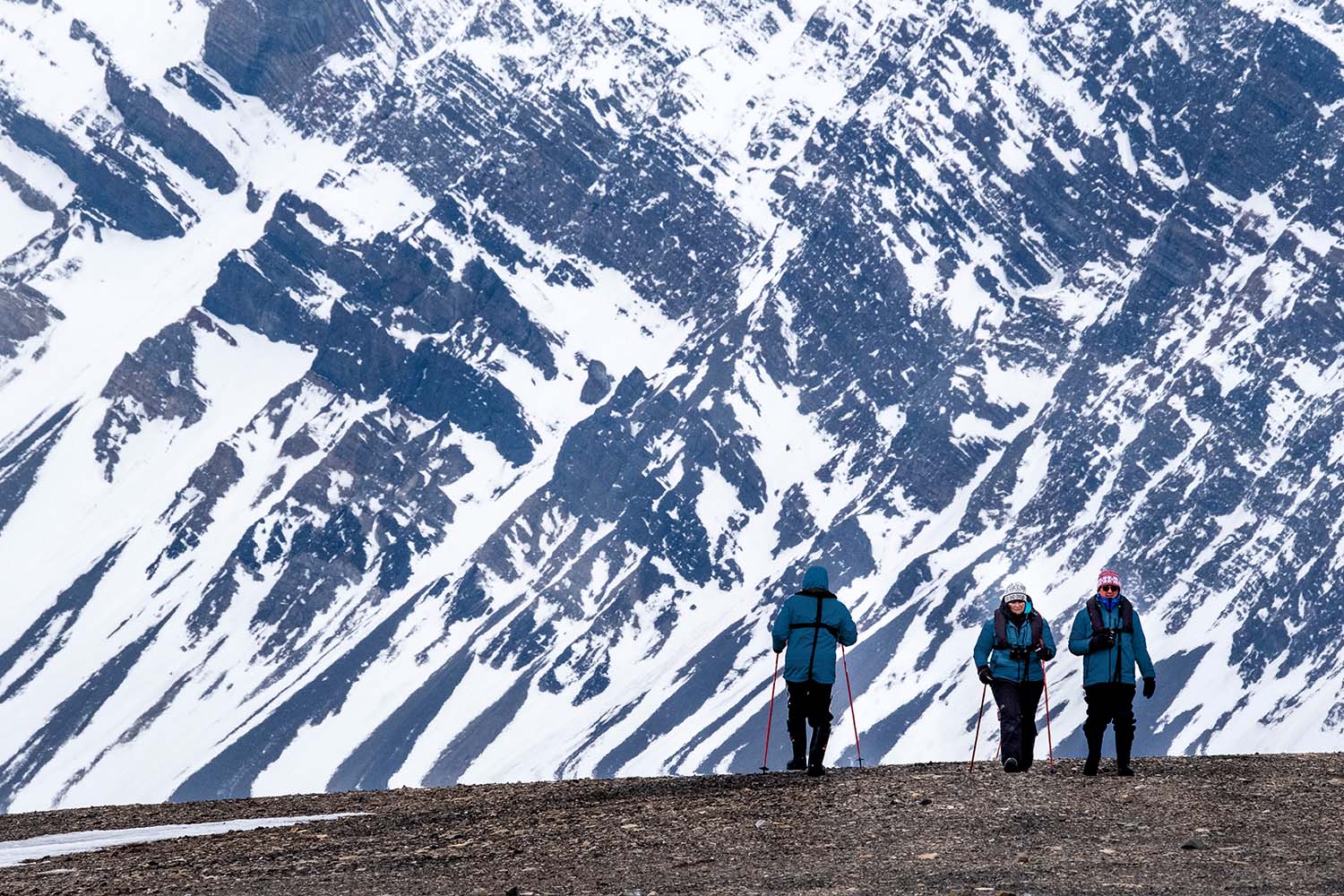 Svalbards Many Wonders